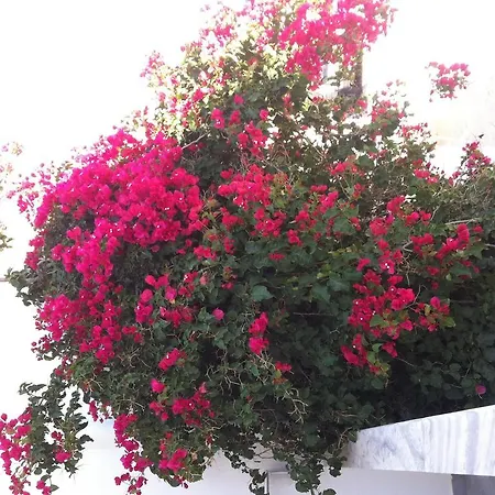 アパート Eleni I Tínos