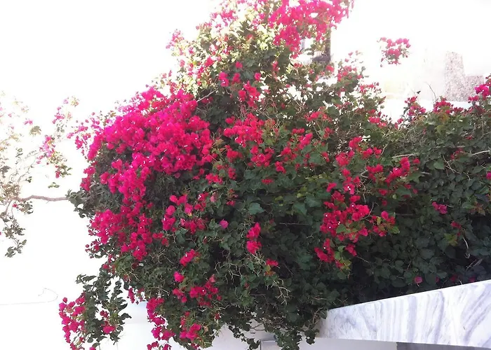 Appartement Eleni I Tínos